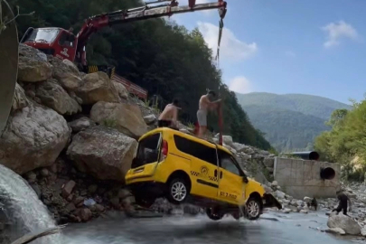 Düzce'de ticari araç şarampole yuvarlandı