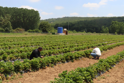 Kocaeli İzmit’te genç girişimcilere destek