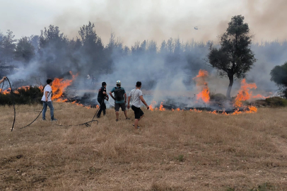 Muğla Büyükşehir ekipleri 6 Ayda 380 anız yangınına müdahale etti
