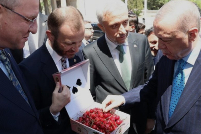 Cumhurbaşkanı Erdoğana Pazarlarda yetişen kiraz ikram edildi