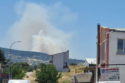 Gediz Yenikent Orman yangını