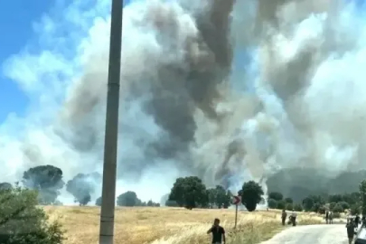 Gediz Yangınının Bilançosunu Orman Bölge Müdürü Açıkladı: