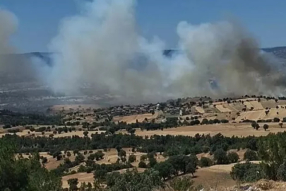 Gediz'de Biçerdöver Yangını Ormana Sıçradı: 340 Personelle Müdahale Sürüyor