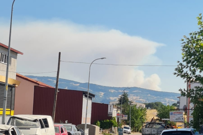 Gediz Yenikent Derbent Bölgesi Yangın