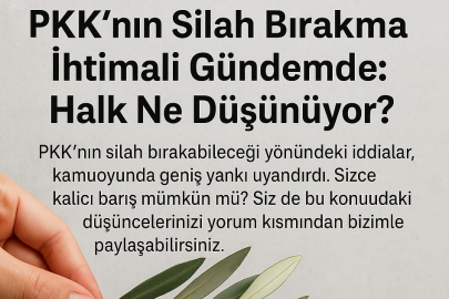 PKK'nın Silah Bırakma İhtimali Gündemde: Halk Ne Düşünüyor?