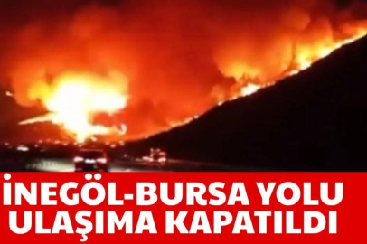 Bursa Yanıyor: Alevler heryeri aydınlattı