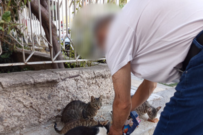 Kütahya’da Güzel Şeyler de Oluyor: Sokak Kedilerine Sevgi Eli
