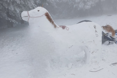Kütahya Radar Mevkisinde Yoğun Kar Yağışı Sonrası Dikkat Çeken Görüntü: Kardan At Yaptılar